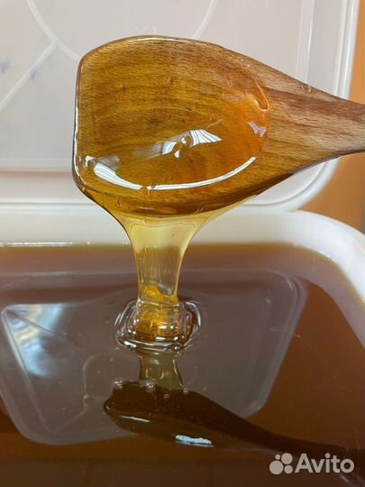 Продаю лесной мед