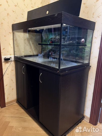 Аквариум для черепах 207 литров