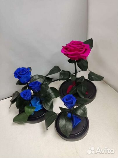 Роза в колбе