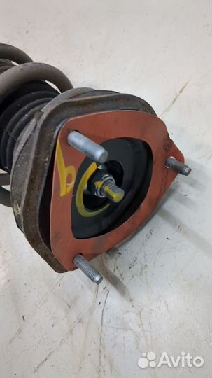 Амортизатор подвески левый задний Infiniti Q50, 2015