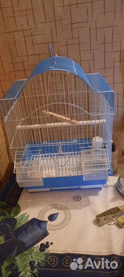 Клетка для. Волнистый попугай