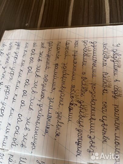 Репетитор начальных классов (с 1 по 4 классы)