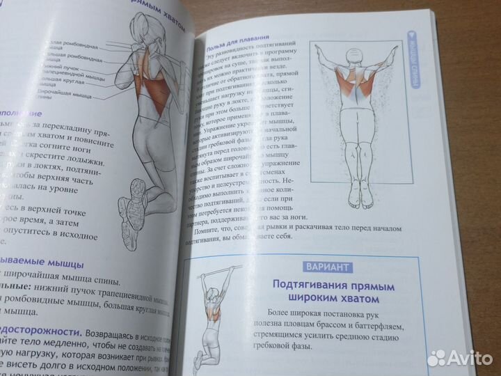 Анатомия плавания Маклауд