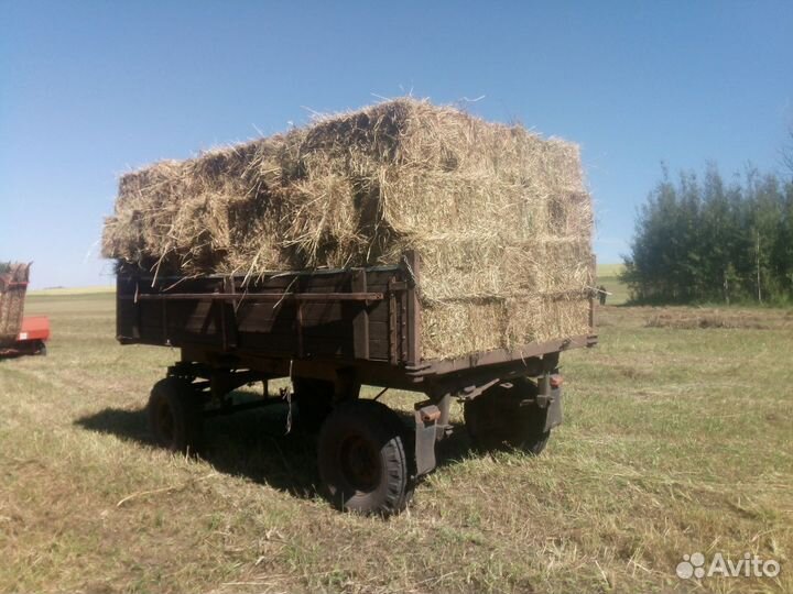 Сено в брикетах