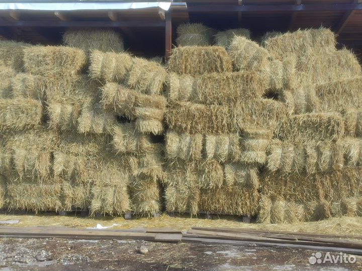 Солома в тюках