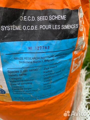 Семена подсолнечника и семена кукурузы