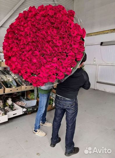 Цветы розы букеты 25 31 35 51 101 251 Доставка