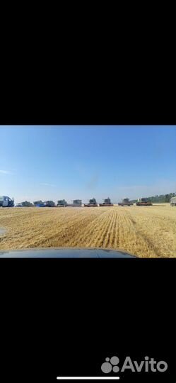 Услуги по уборке урожая зерновых