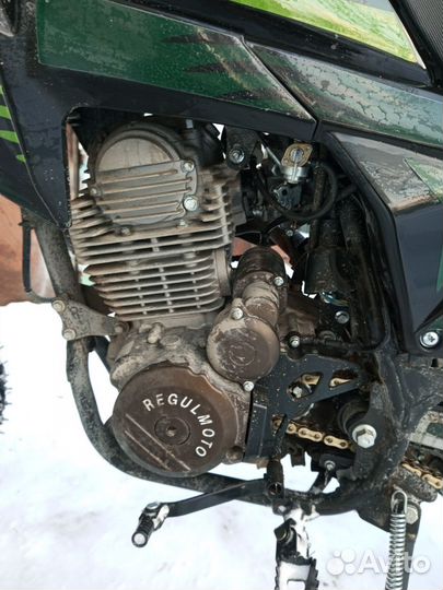 Regulmoto TE (Tour Enduro) PR 300