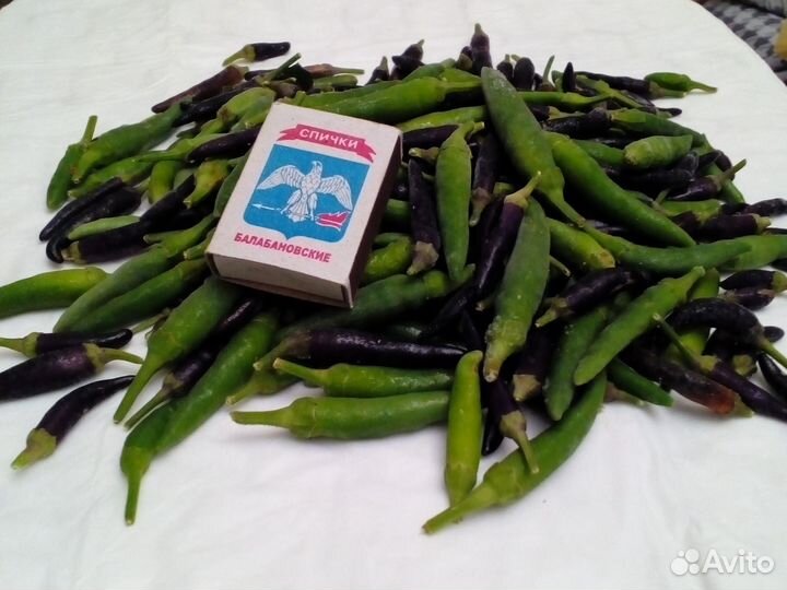 Огурчики солёные и др