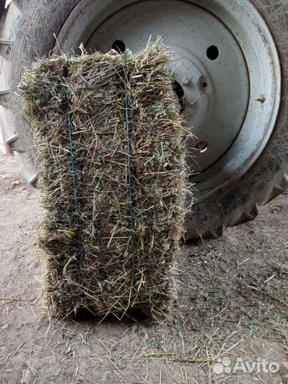 Сено в тюках костер иногда козлятнтк