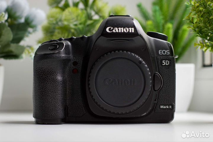 Canon 5D Mark II