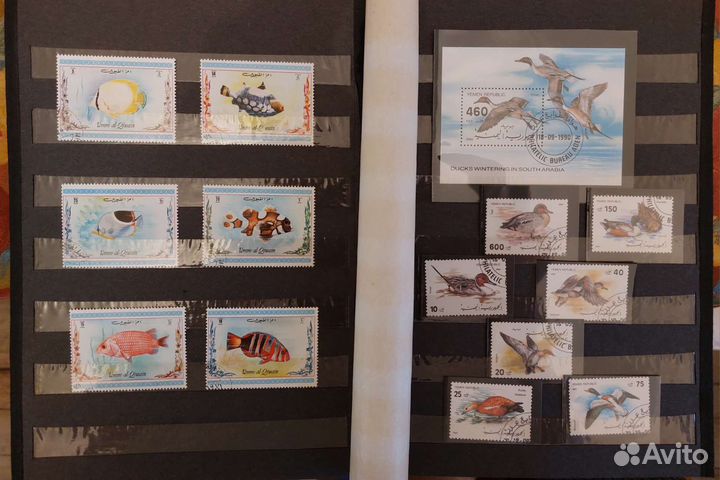 Марки фауна Птицы и рыбы разных стран