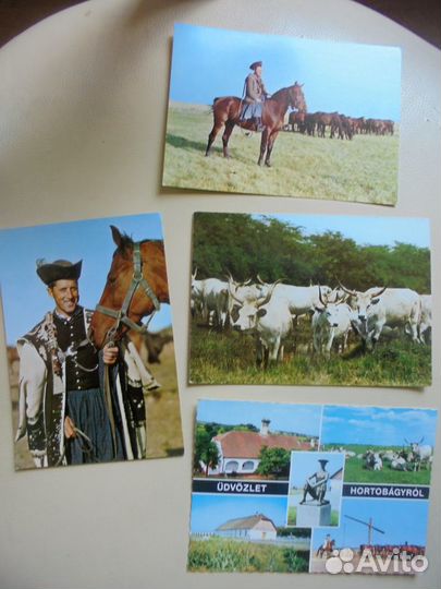 Венгрия 1970-е Хортобадь Лилафюред Шарошпаток