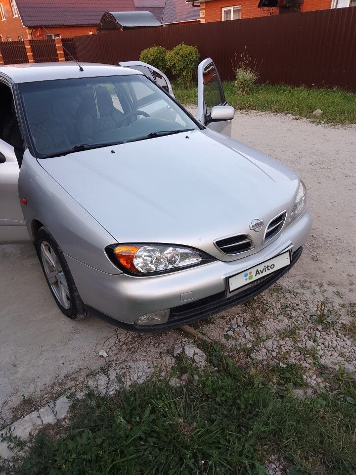 Nissan Primera: фото владельца