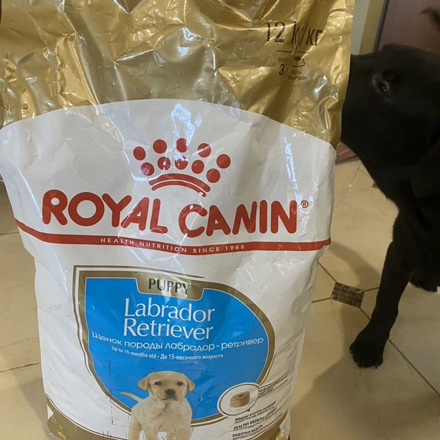 Корм для собак royal canin puppy для лабрадора