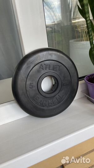 Блины для штанги или гантелей