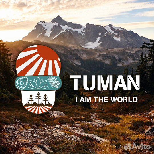 Графический дизайнер