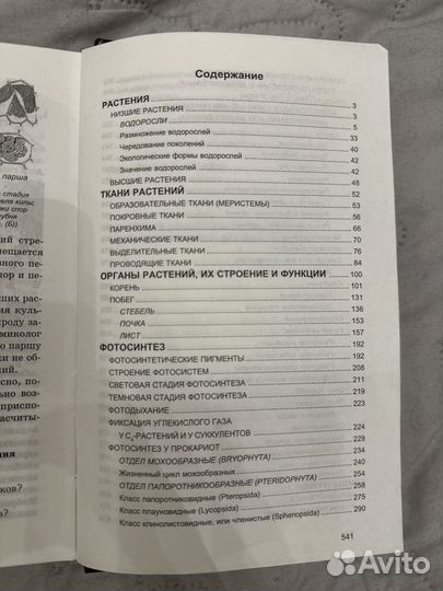 Ботаника, Билич и Крыжановский