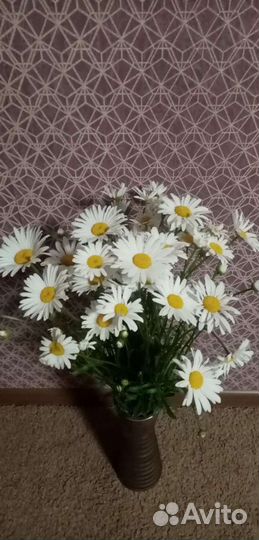 Гладиолус, Ромашка букет