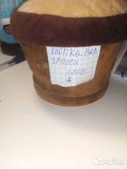 Поющий кактус