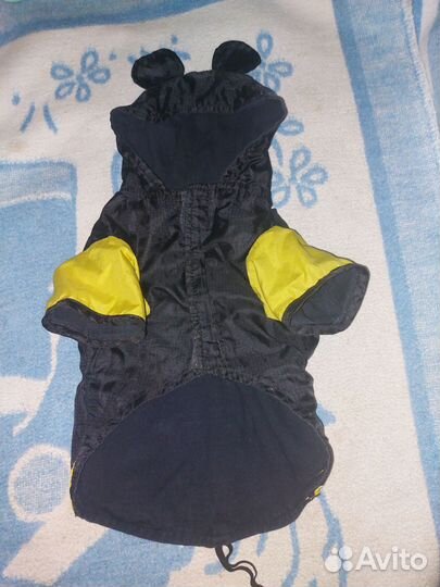 Одежда для собак