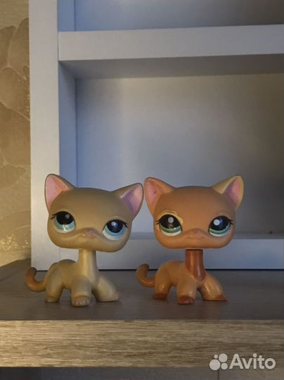 Littlest Pet Shop