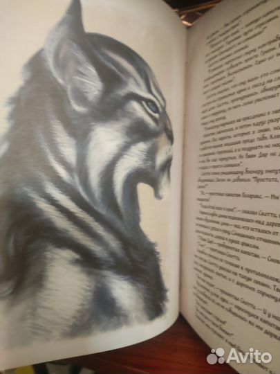 Skyrim хроники