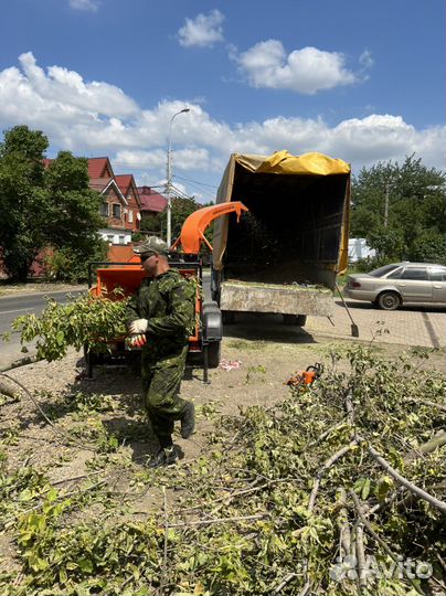 Измельчитель Веток, Дробилка в аренду