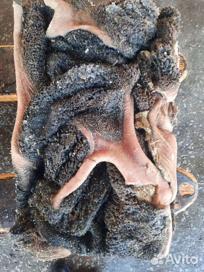 Рубец говяжий