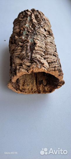 Дом для пауков