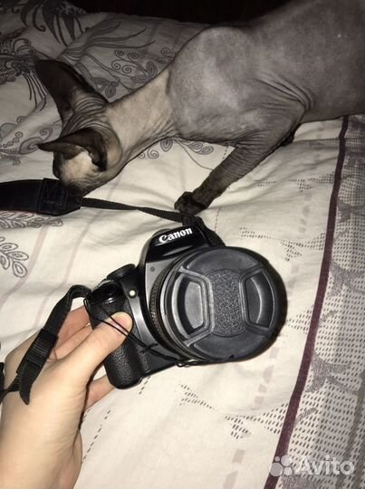 Фотоаппарат Canon 450D
