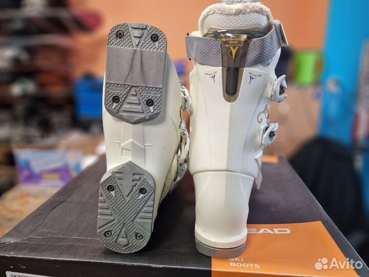 Head Dream 245-255 (38-39)