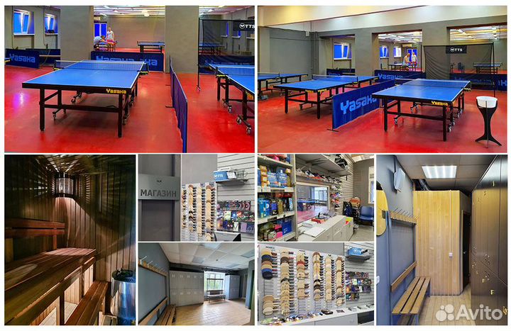 Теннисный стол