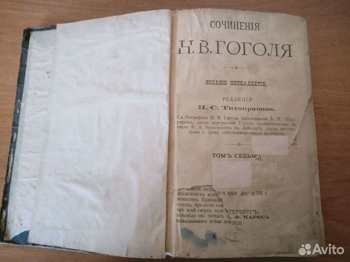 В. Н. Гоголь (1900 г.)