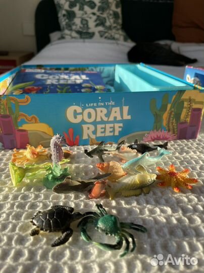 Игрa Bondibon Coral Reef Коралловый риф
