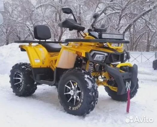 Квадроцикл Motoland Wild Track X 200PRO с лебедкой