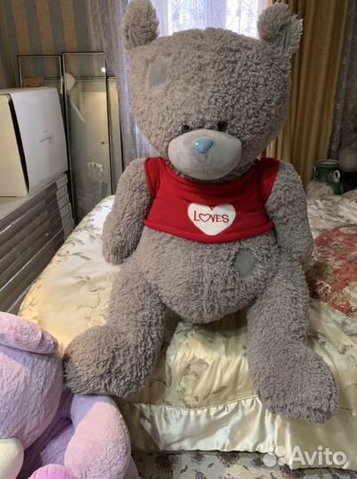 Мишка Тедди