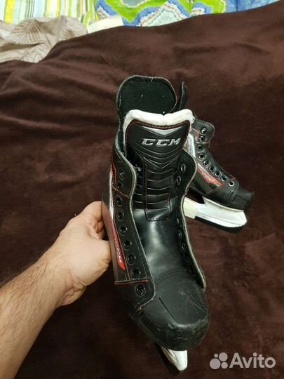 Коньки щитки