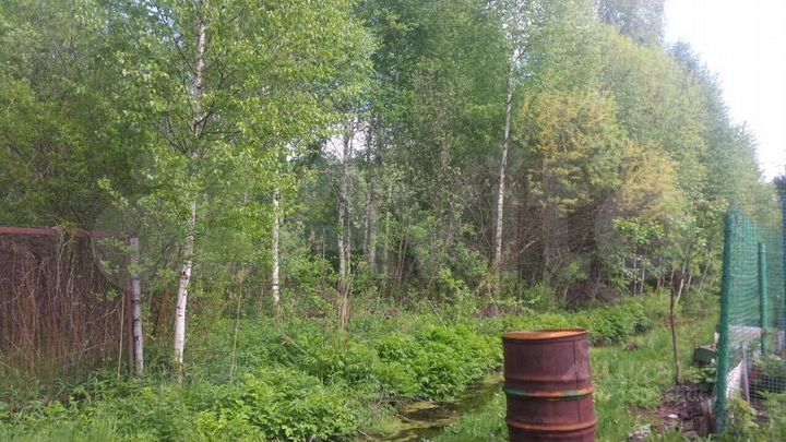 Участок 6,5 сот. (СНТ, ДНП)