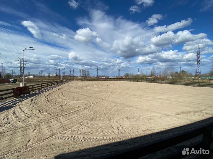 Постой лошадей