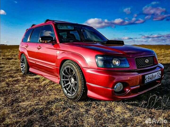 Диски Shogun s10