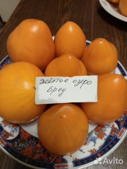 Семена коллекционных сортов томатов