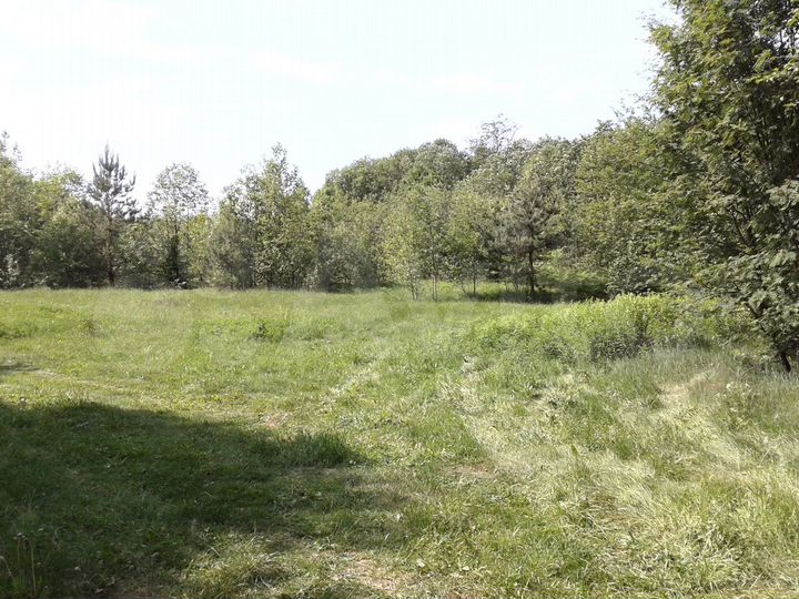 Участок 4,86 га (СНТ, ДНП)