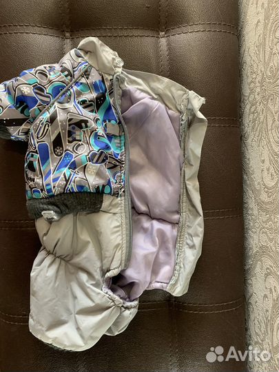 Одежда для собак