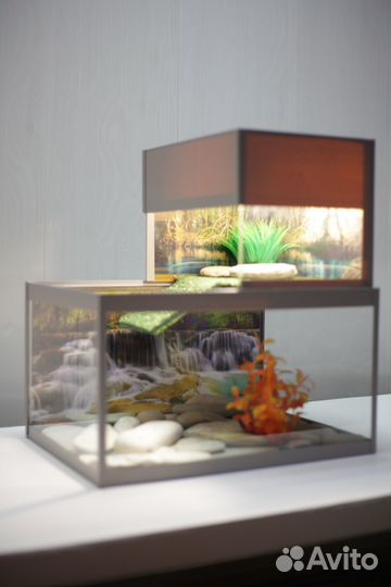 Террариум для красноухой черепахи