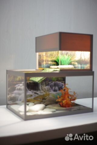 Террариум для красноухой черепахи