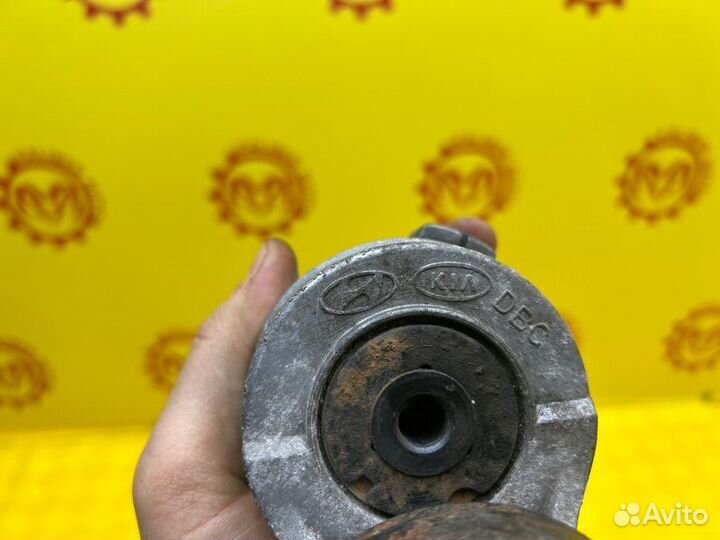 Ролик натяжитель ремня Hyundai Grand Starex/H1 2.5