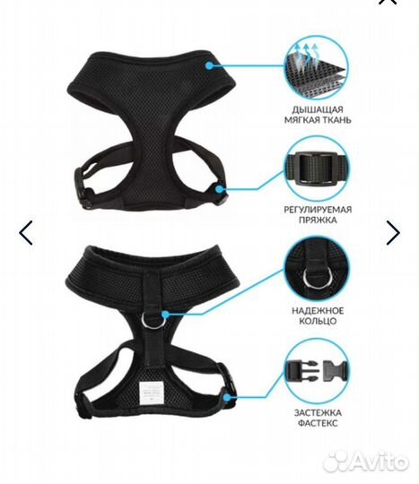 Анатомическая шлейка для маленьких и средних собак