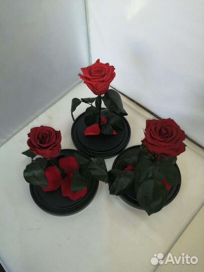 Роза в стеклянной колбе оптом и в розницу